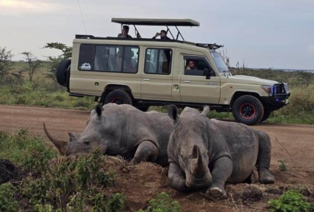 Nairobi National Park safari with city skyline